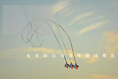 公司聘請(qǐng)專業(yè)法律顧問(wèn)的費(fèi)用計(jì)算與法律事務(wù)代理指南